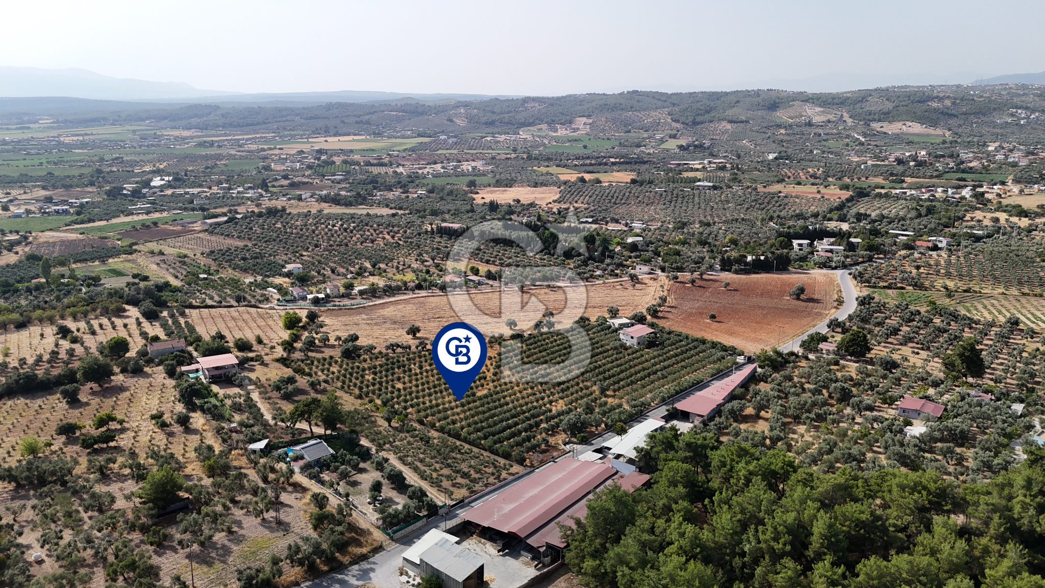 Torbalı Yoğurtçular'da 6040 m2 Satılık Zeytinlik