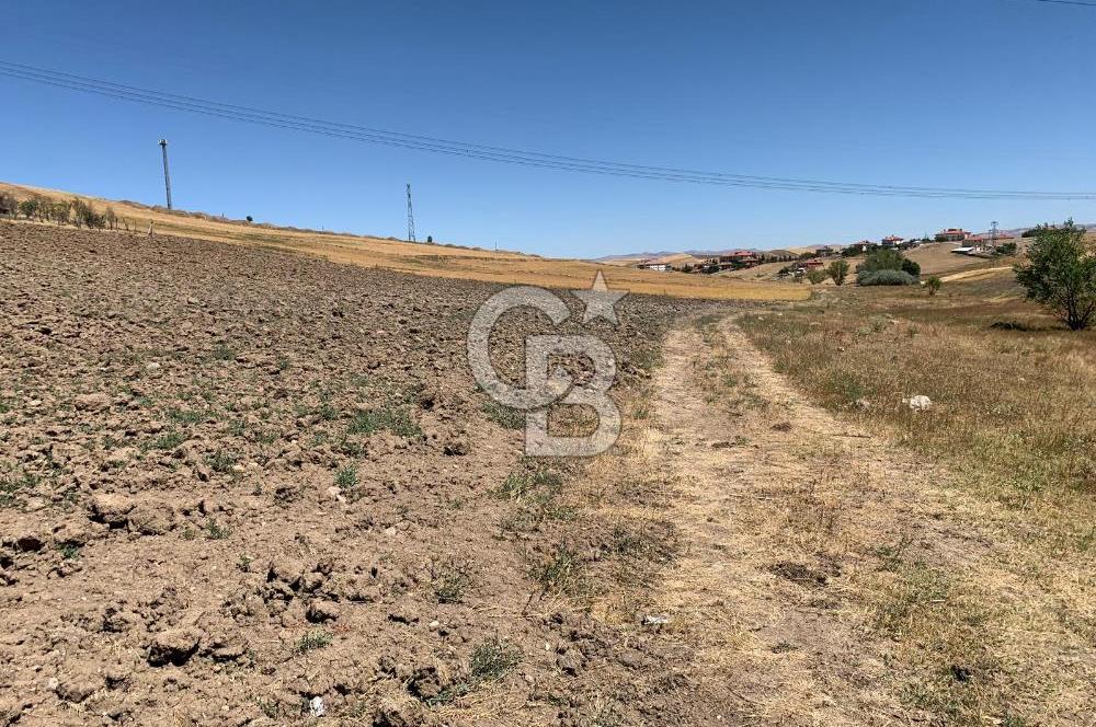 Ankara Pursaklar Altınova'da Havaalanına Yakın SATILIK Arsa