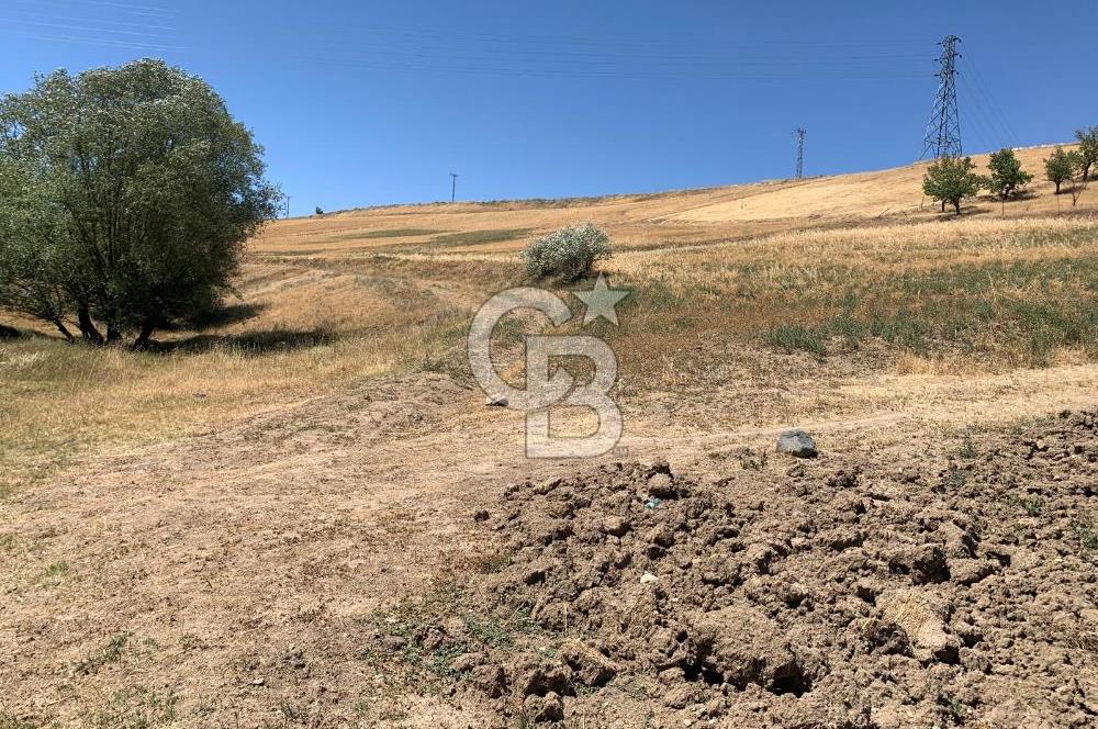 Ankara Pursaklar Altınova'da Havaalanına Yakın SATILIK Arsa