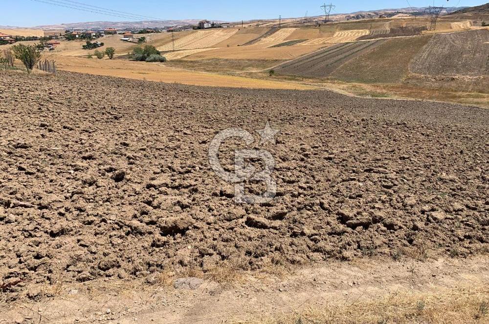 Ankara Pursaklar Altınova'da Havaalanına Yakın SATILIK Arsa