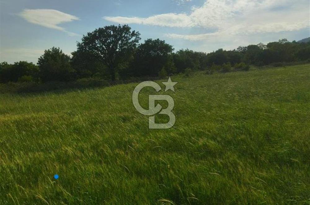 İzmir / Bergama'da Satılık 8681 M2 Satılık Tarla