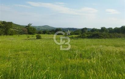 İzmir / Bergama'da Satılık 8681 M2 Satılık Tarla