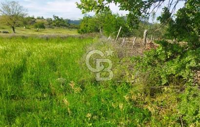 İzmir / Bergama'da Satılık 8681 M2 Satılık Tarla