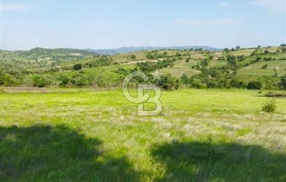 İzmir / Bergama'da Satılık 8681 M2 Satılık Tarla