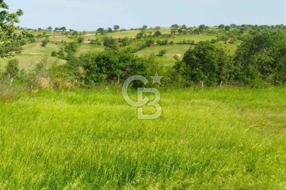 İzmir / Bergama'da Satılık 8681 M2 Satılık Tarla