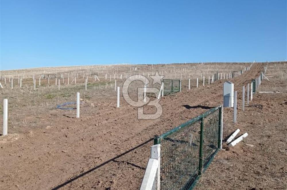 Gölbaşı Yağlıpınarda Altyapısı Tam, Hemen Kullanıma Hazır 500 m