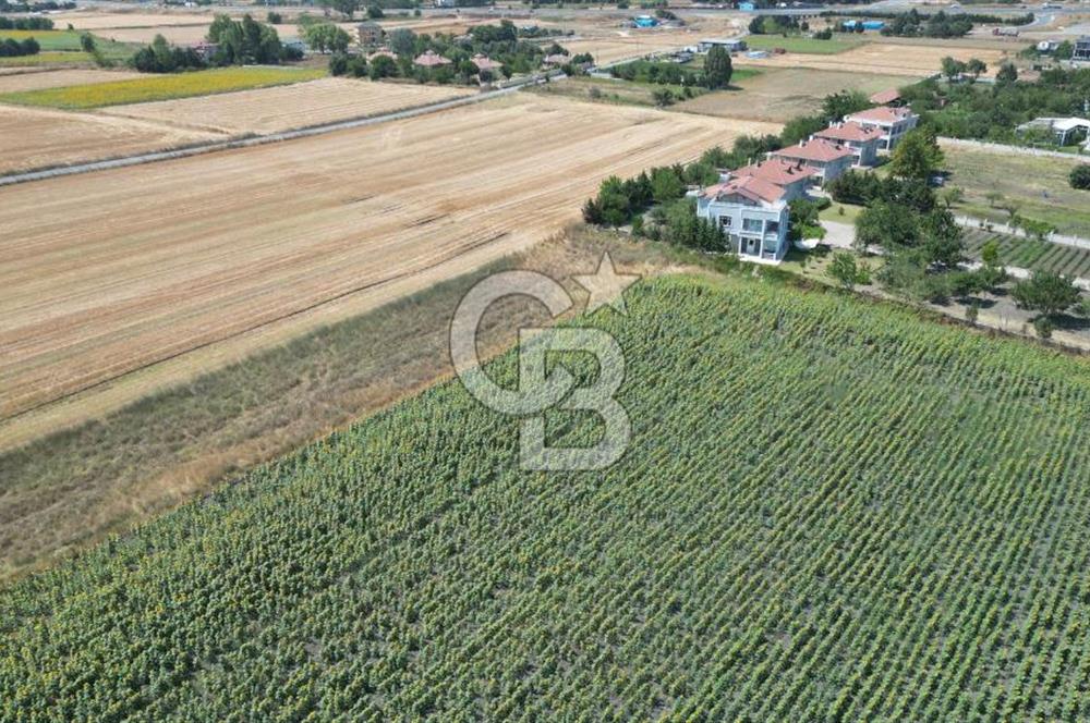 ÇATALCA OKLALI MAH. 2.466 M² TEK TAPU SATILIK ARAZİ