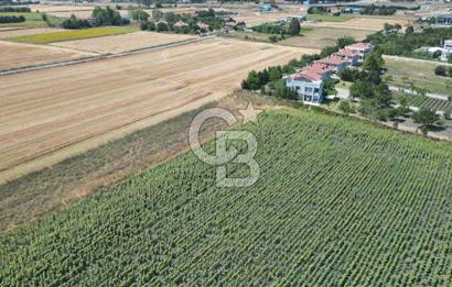 ÇATALCA OKLALI MAH. 2.466 M² TEK TAPU SATILIK ARAZİ