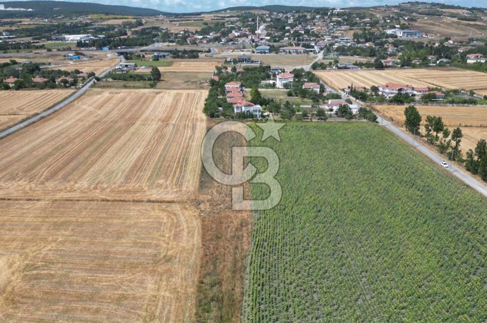 ÇATALCA OKLALI MAH. 2.466 M² TEK TAPU SATILIK ARAZİ