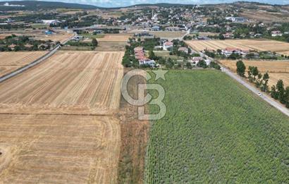 ÇATALCA OKLALI MAH. 2.466 M² TEK TAPU SATILIK ARAZİ