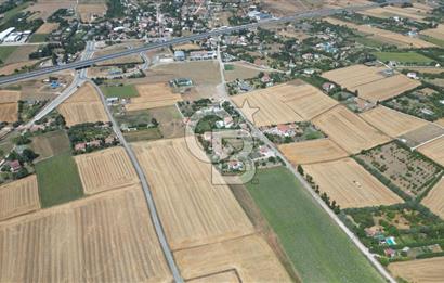 ÇATALCA OKLALI MAH. 2.466 M² TEK TAPU SATILIK ARAZİ