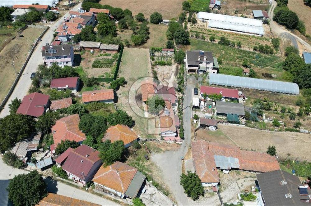 Çatalca Ormanlı Köy Merkezi'nde Tek Tapulu 1.296 m² Satılık Arsa