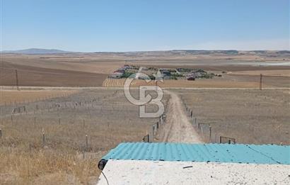TULUMTAŞ ve İNCEK'E 7 km imar sınırında Hacımuratlıda 500 m arsa