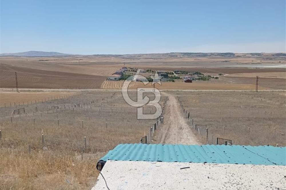 TULUMTAŞ ve İNCEK'E 7 km imar sınırında Hacımuratlıda 500 m arsa