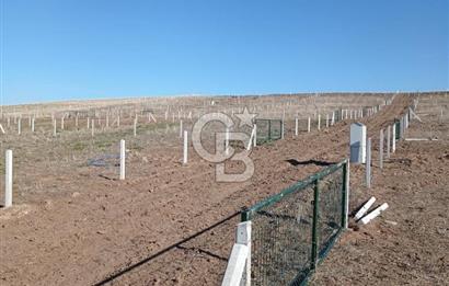 Gölbaşı Yağlıpınarda Altyapısı Tam, Hemen Kullanıma Hazır 500 m
