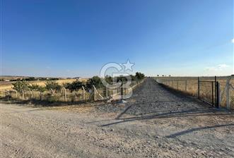 TULUMTAŞ ve İNCEK'E 7 km imar sınırında Hacımuratlıda 500 m arsa