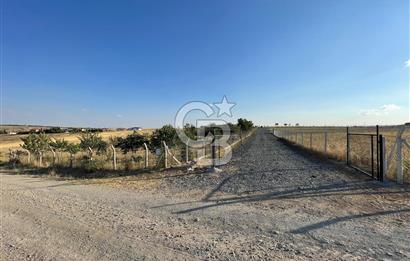 TULUMTAŞ ve İNCEK'E 7 km imar sınırında Hacımuratlıda 500 m arsa