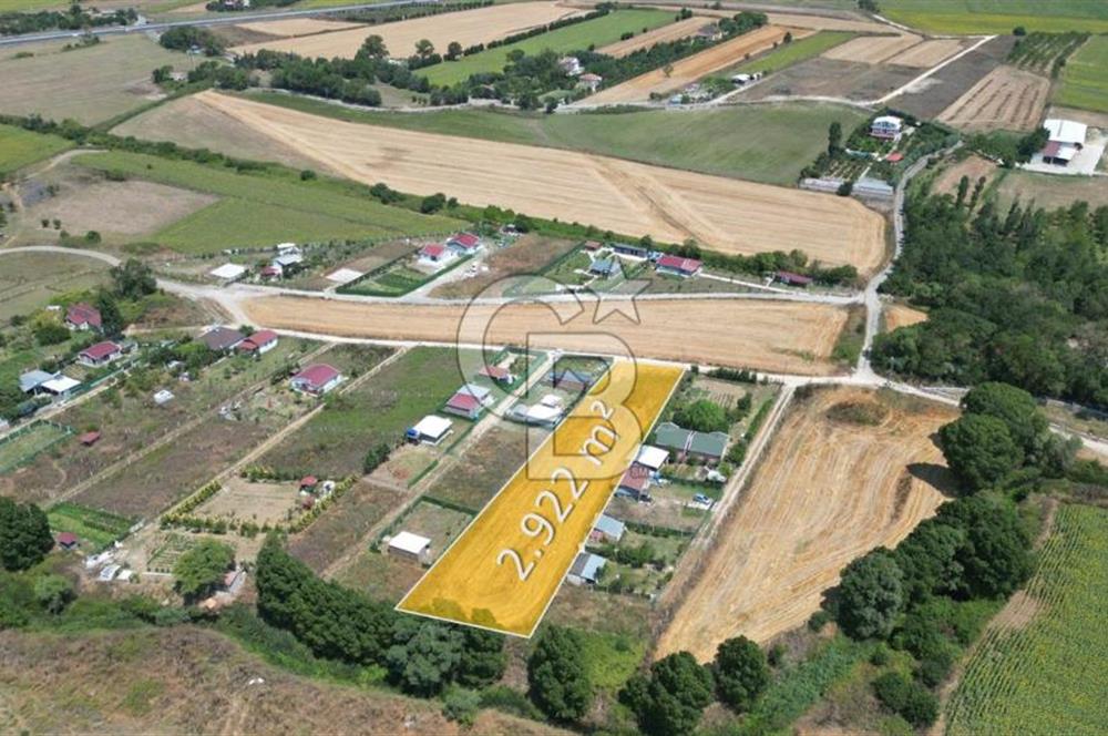 Çatalca Kestanelikte 2.922 m² Tek Tapu Yatırımlık Arazi