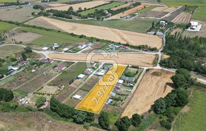Çatalca Kestanelikte 2.922 m² Tek Tapu Yatırımlık Arazi