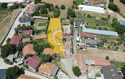 Çatalca Ormanlı Köy Merkezi'nde Tek Tapulu 1.296 m² Satılık Arsa