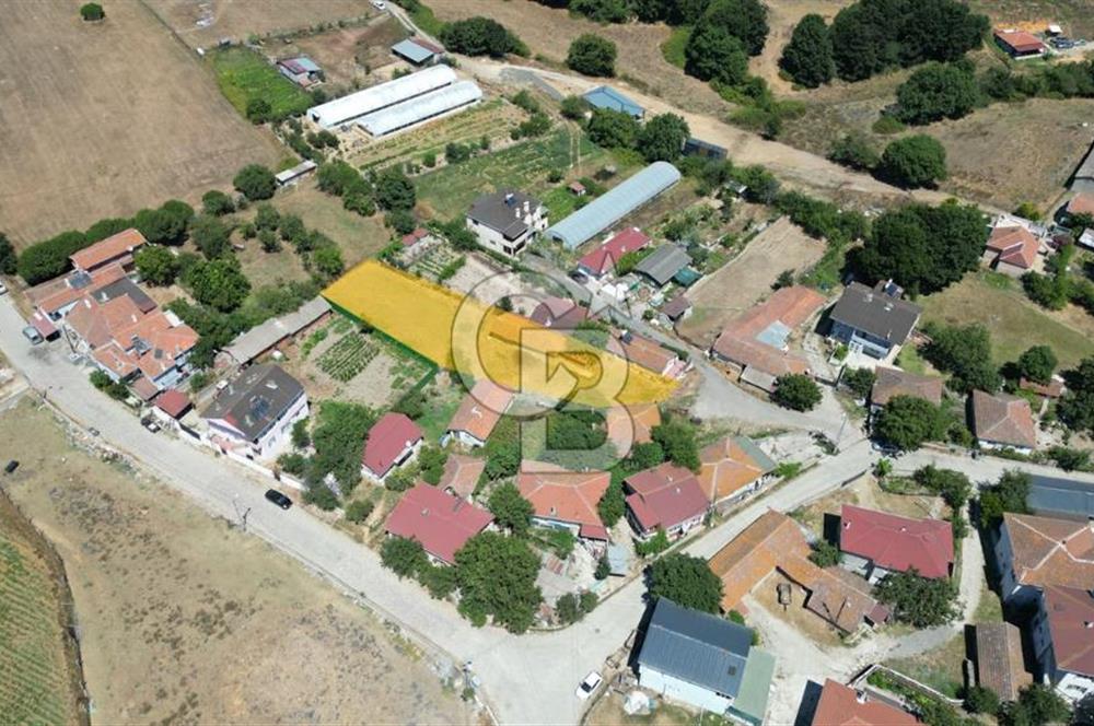 Çatalca Ormanlı Köy Merkezi'nde Tek Tapulu 1.296 m² Satılık Arsa