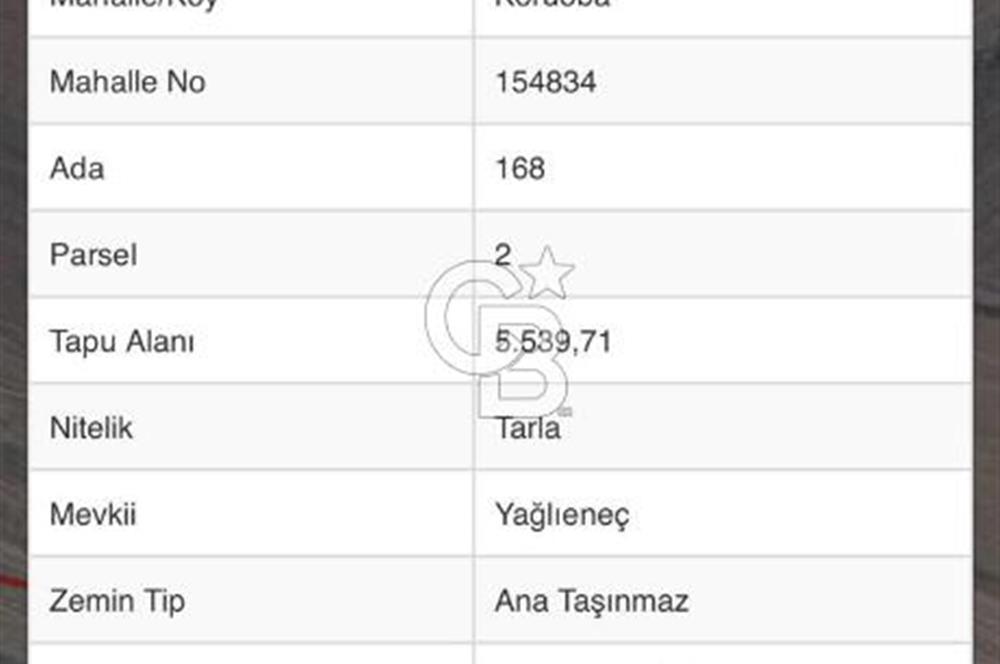 BİGA KORUOBA SATILIK TARLA