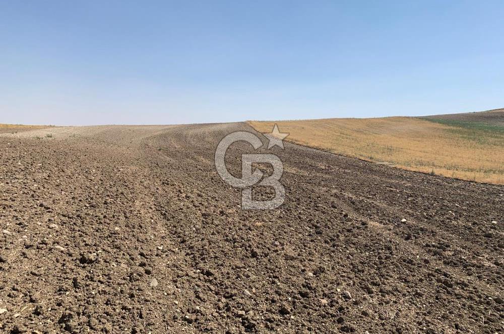 Sincan Yenikent Yenikayı’da SATILIK Hisseli 1291 m2 TARLA …