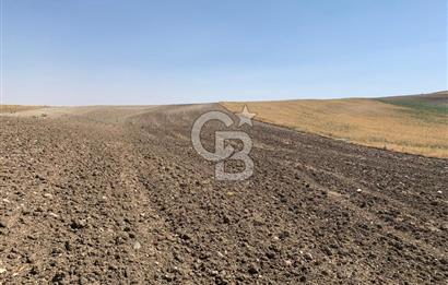 Sincan Yenikent Yenikayı’da SATILIK Hisseli 1291 m2 TARLA …