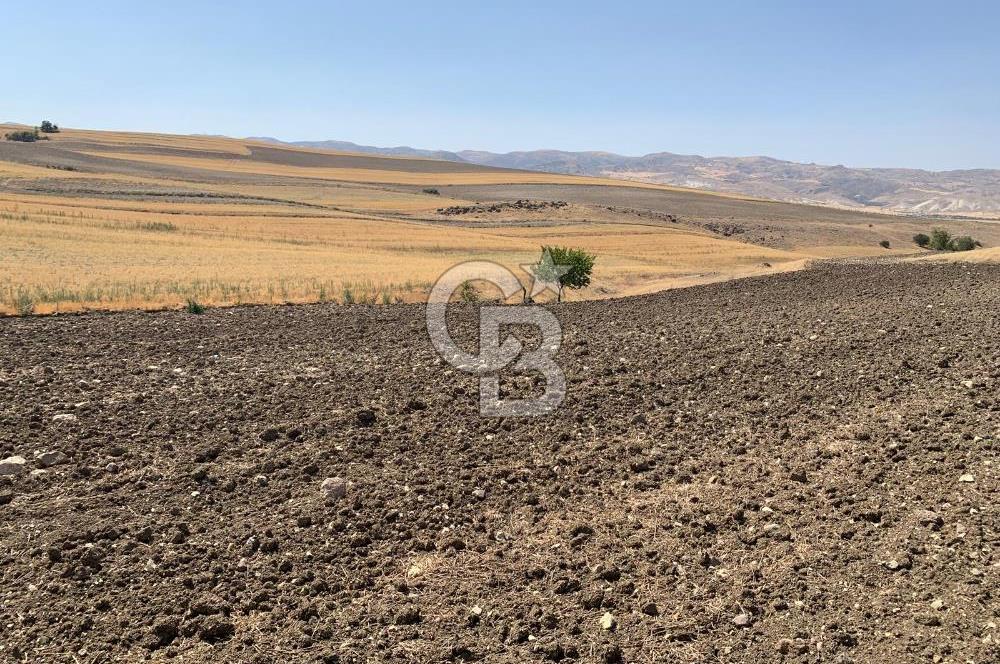 Sincan Yenikent Yenikayı’da SATILIK Hisseli 1291 m2 TARLA …