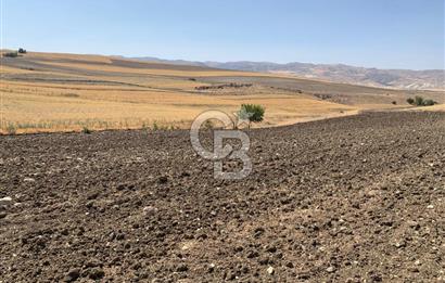Sincan Yenikent Yenikayı’da SATILIK Hisseli 1291 m2 TARLA …