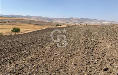 Sincan Yenikent Yenikayı’da SATILIK Hisseli 1291 m2 TARLA …