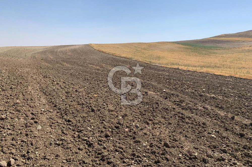 Sincan Yenikent Yenikayı’da SATILIK Hisseli 1291 m2 TARLA …