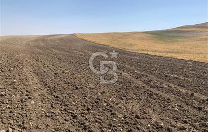 Sincan Yenikent Yenikayı’da SATILIK Hisseli 1291 m2 TARLA …