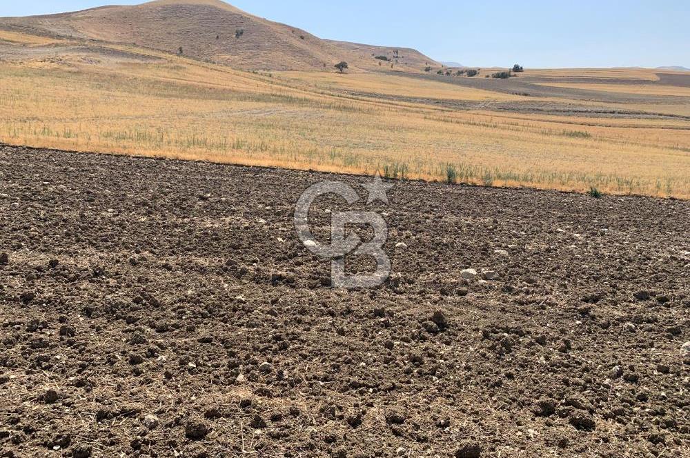 Sincan Yenikent Yenikayı’da SATILIK Hisseli 1291 m2 TARLA …