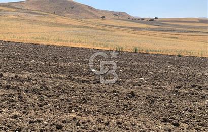 Sincan Yenikent Yenikayı’da SATILIK Hisseli 1291 m2 TARLA …