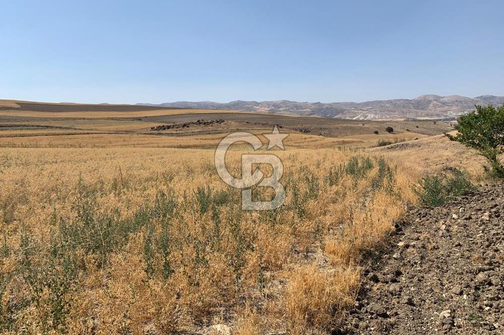Sincan Yenikent Yenikayı’da SATILIK Hisseli 1291 m2 TARLA …