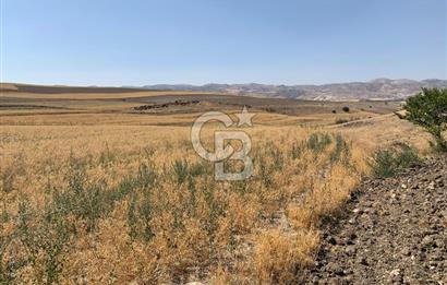 Sincan Yenikent Yenikayı’da SATILIK Hisseli 1291 m2 TARLA …