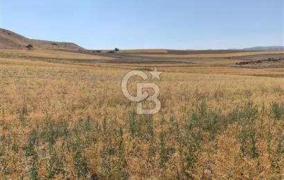 Sincan Yenikent Yenikayı’da SATILIK Hisseli 1291 m2 TARLA …