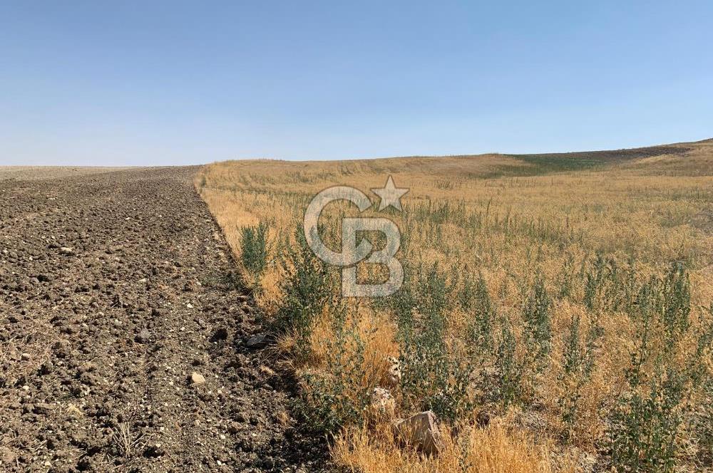 Sincan Yenikent Yenikayı’da SATILIK Hisseli 1291 m2 TARLA …