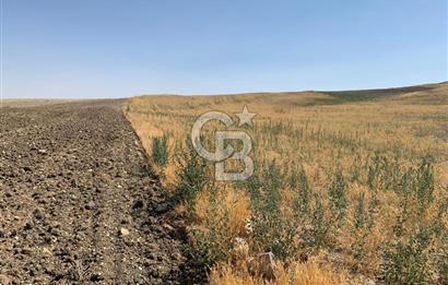 Sincan Yenikent Yenikayı’da SATILIK Hisseli 1291 m2 TARLA …