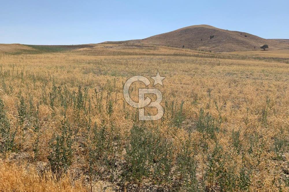 Sincan Yenikent Yenikayı’da SATILIK Hisseli 1291 m2 TARLA …