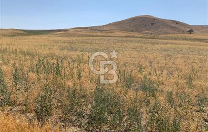 Sincan Yenikent Yenikayı’da SATILIK Hisseli 1291 m2 TARLA …