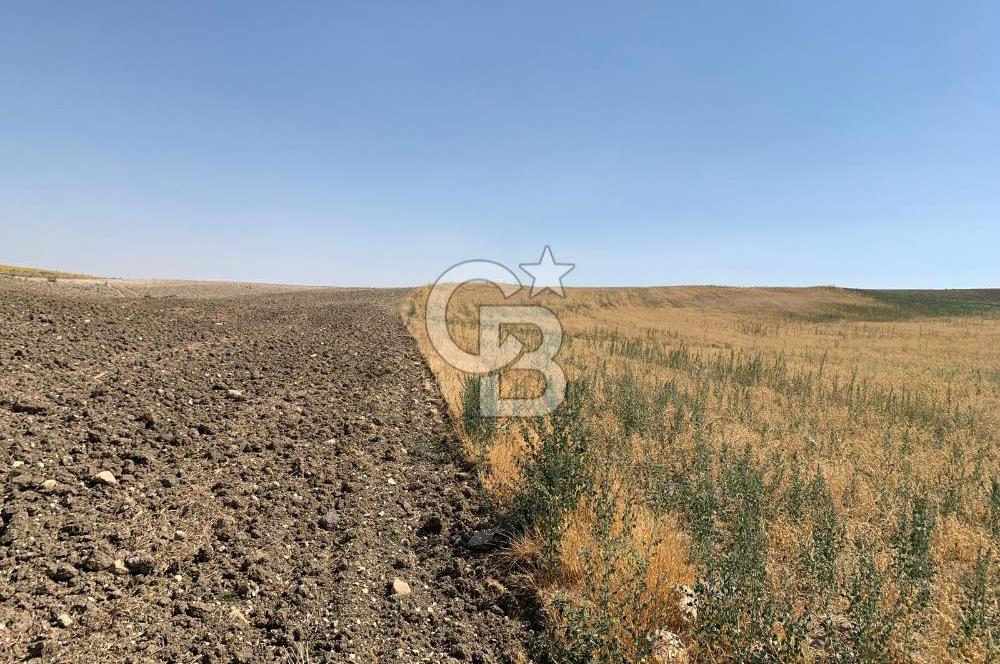 Sincan Yenikent Yenikayı’da SATILIK Hisseli 1291 m2 TARLA …