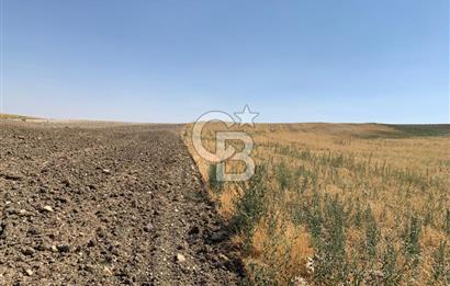 Sincan Yenikent Yenikayı’da SATILIK Hisseli 1291 m2 TARLA …