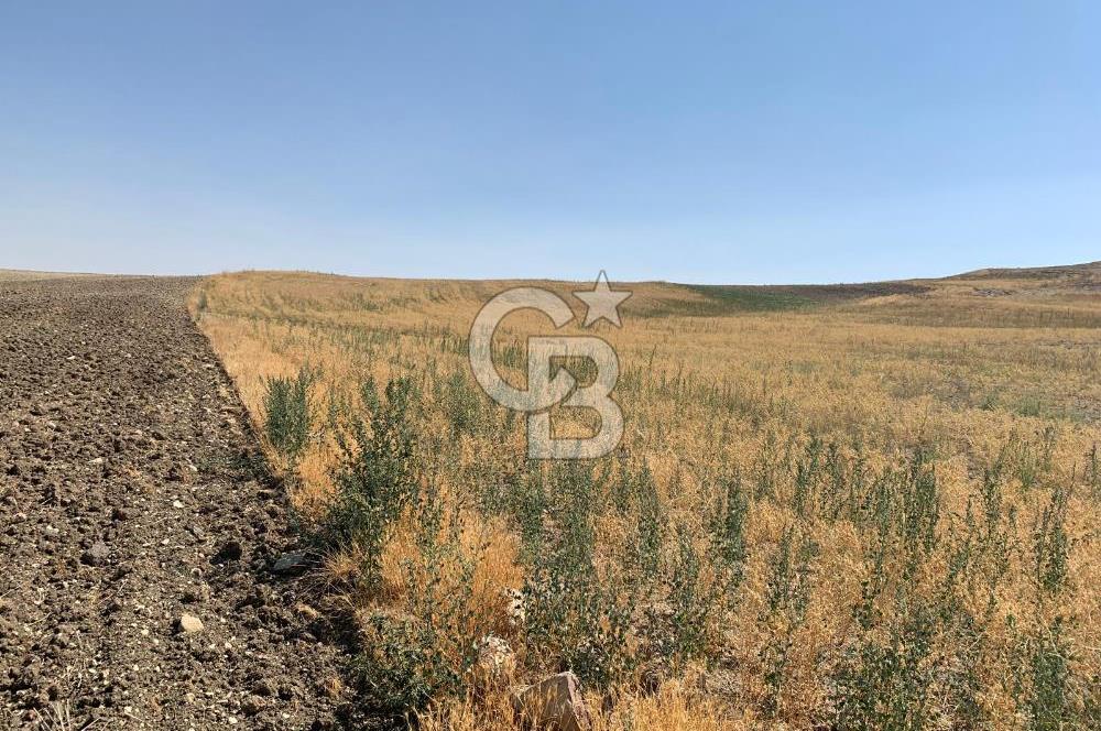 Sincan Yenikent Yenikayı’da SATILIK Hisseli 1291 m2 TARLA …