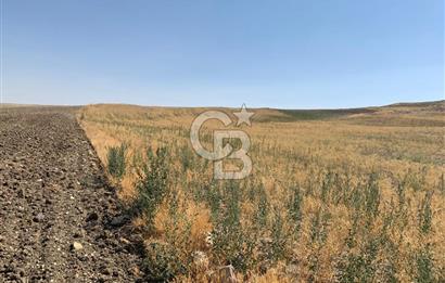 Sincan Yenikent Yenikayı’da SATILIK Hisseli 1291 m2 TARLA …