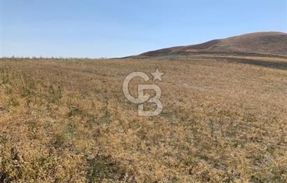 Sincan Yenikent Yenikayı’da SATILIK Hisseli 1291 m2 TARLA …