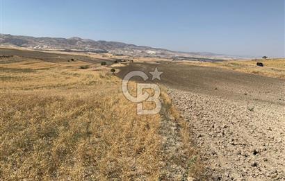 Sincan Yenikent Yenikayı’da SATILIK Hisseli 1291 m2 TARLA …