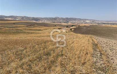 Sincan Yenikent Yenikayı’da SATILIK Hisseli 1291 m2 TARLA …