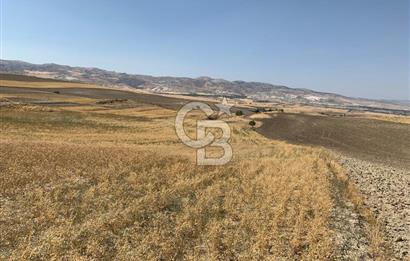 Sincan Yenikent Yenikayı’da SATILIK Hisseli 1291 m2 TARLA …